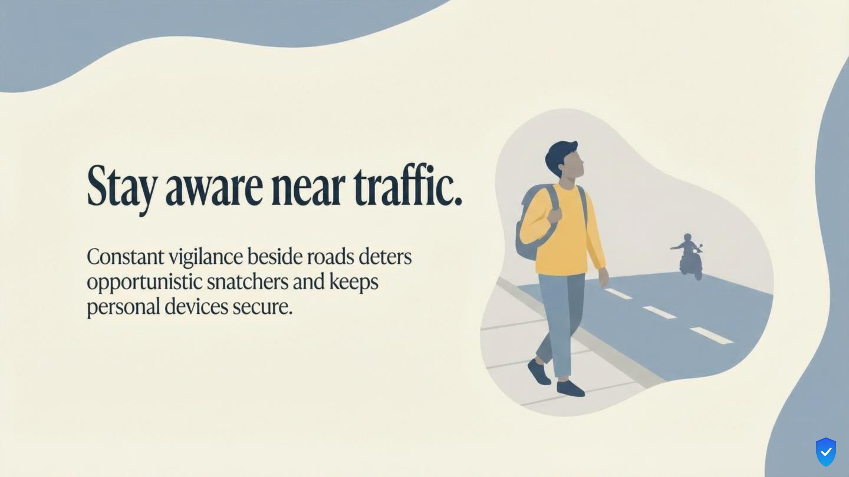 Moped Phone-Snatch Safety